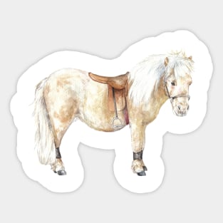 Shetland Pony: Ready to Ride Horse Sticker